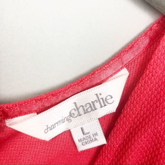 CHARMING CHARLIE | Dark Coral Zip Back Dress Large - Picture 4 of 7